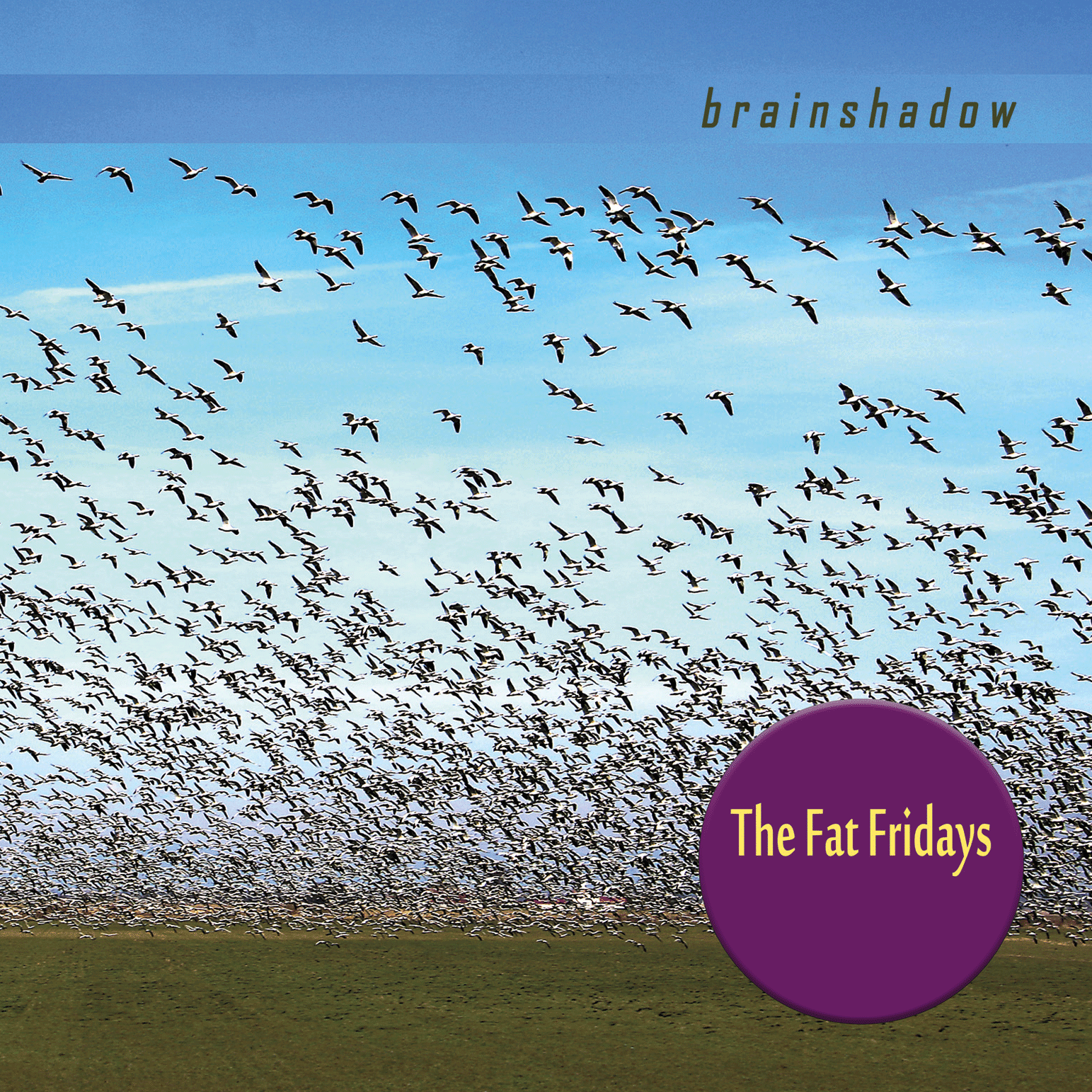 Released July 2020: The Fat Fridays CD, Brainshadow